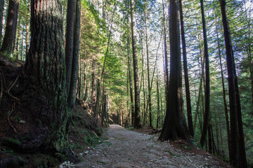 lynn creek, February, hiking