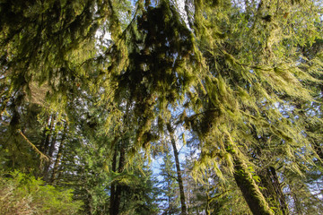 lynn creek, February, hiking