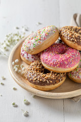 Closeup of donuts with various decoration on white plate