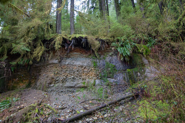 lynn creek, February, hiking