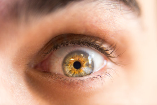 close up of colorful yellow green eye of a man