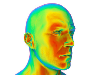 3D rendering - male head analysis