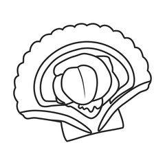 Oyster vector icon.Outline,line vector icon isolated on white background oyster.