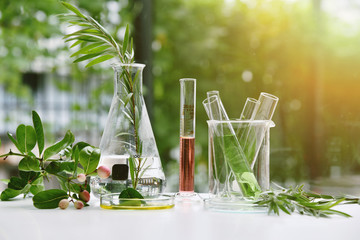 Natural drug research, Natural organic and scientific extraction in glassware, Alternative green herb medicine, Natural skin care beauty products, Laboratory and development concept. - obrazy, fototapety, plakaty