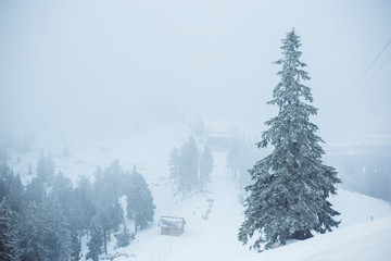 Fototapeta na wymiar Mountain winter landscape. Beautiful nature and panoramic trees, in mountains.