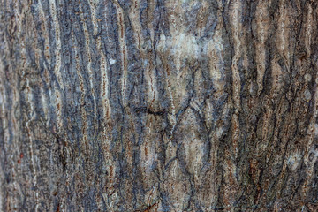 Scratched and cracked wood  texture and patten background