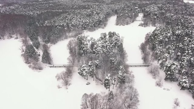 Serebryany Bor at winter, Moscow, Russia. Aerial