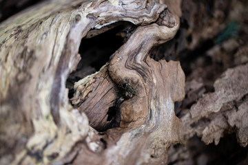 rough wood and texture