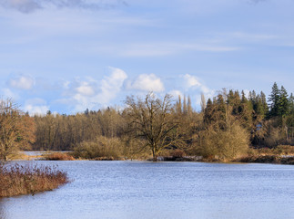 Extreme flooding on farmers field after rain storm