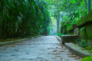 Trail in the park.  Green trees plants.  Stone path.  Suitable for a relaxing environment.  This is a very comfortable park