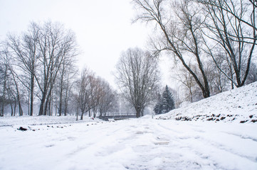 Winter city park. Trees and road with white snow