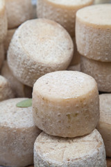 Natural homemade cheese made from goat and cow milk. Organic food. Healthy eating concept