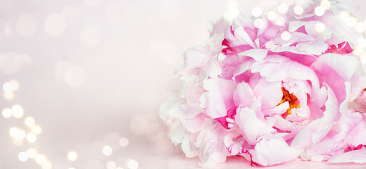 Spring background with flowers