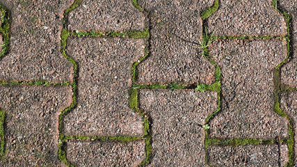 Texture of pavement with moss, grass or weeds. Background with free space for text