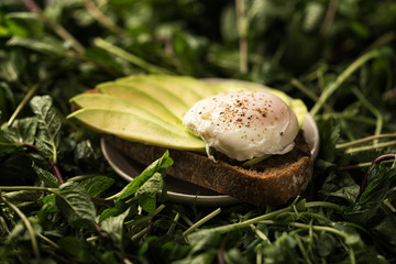Crispy bruschetta with avocado and eggs on herbs. Useful Diet Toasts. Bruschetta with Avocado, egg. Sandwiches with black rye bread and avocado mousse with spices
