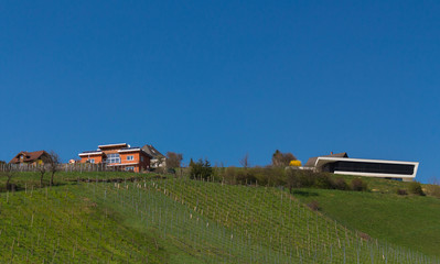 Landscape with green field and blue sky