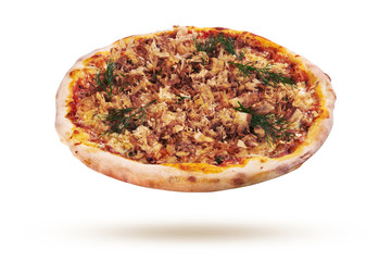 Pizza on a white background