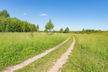 Fototapeta na wymiar Road on the meadow at sunny day time.