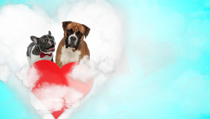 couple of dogs panting happy and standing above heart