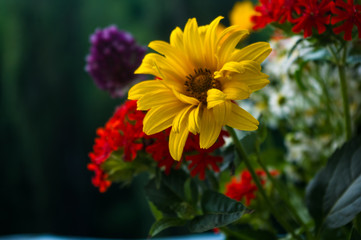 a bouquet of bright spring flowers of various types