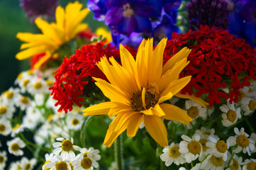 a bouquet of bright spring flowers of various types
