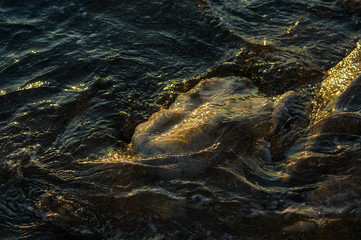pebble stones on the sea beach, the rolling waves of the sea with foam