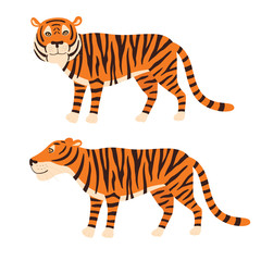 Tiger stand, vector illustration isolated on white background.