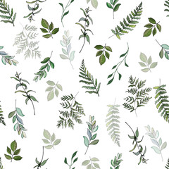 Fototapety  Wzór z gałęzi paproci, eukaliptusa, zielonych liści na białym tle. Ręcznie rysowane. Do projektowania ekologicznego, druku, tapet, papieru do pakowania. Czas ilustracja wektorowa.