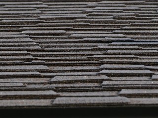 texture of wood