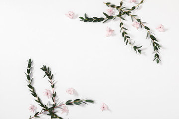 Modern composition of pink flowers and eucalyptus. Pattern made of eucalyptus branches and leaves, flowers on white background. Flat lay, top view, copy space