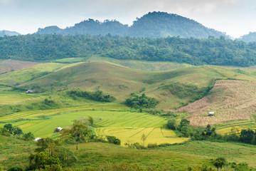 Fototapeta na wymiar Rice fields in mountainous Laos. Province Shenghuang.