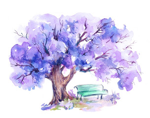 Blooming jacaranda trees,blue bench under tree in the park.Watercolor sketch.Hand drawn