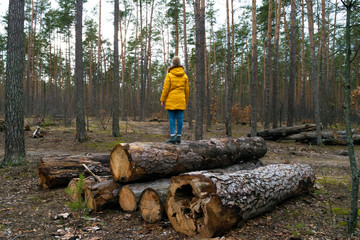 Girl in yellow in pine forest