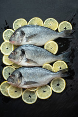 Raw fish hake. Five Raw fish fillet with organic fresh tomatoes on ice on dark background,