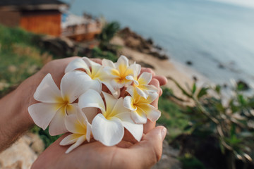 Tropical flowers in men's palms
