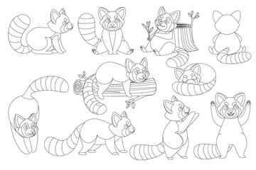Set of cute adorable red panda in different poses cartoon design animal character flat vector style illustration on white background outline style