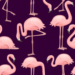 Seamless pattern of cute cartoon peach pink flamingo. Funny flamingo collection. Cartoon animal character design. Flat vector illustration on dark background