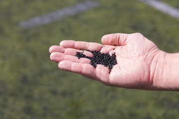 Artificial synthetic rubber pieces from turf football field, closeup in male hand