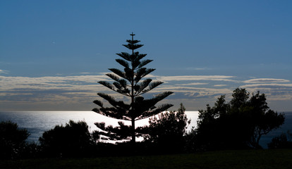Long exposure photo of Bondi Beach at night, Sydney Australia