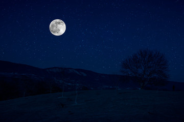 Naklejka na ściany i meble Scenic night landscape of country road at night with large moon