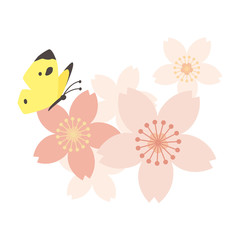 桜と蝶