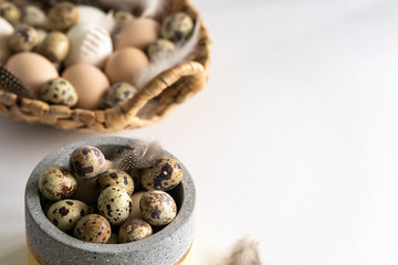 Quail Easter eggs and feathers on white background.