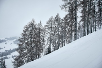 snowy mountain winter scenic landscape 