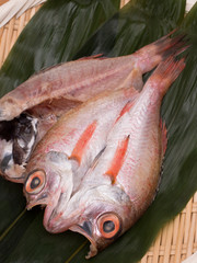 ノドグロの干物