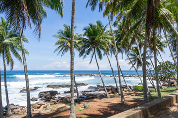 Tropical beach with palm trees. Turquoise sea. A powerful wave with splashes and foam breaks on a rocky shore. Sri Lanka, Dondra Lighthouse