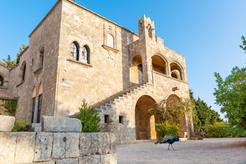 Fototapeta na wymiar Peacock in front of medieval Monastery of Filerimos on hill of Philerimus (Rhodes, Greece)