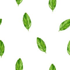 Basil leaf watercolor illustration seamless pattern.