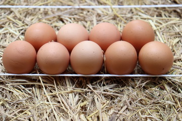 eggs in basket