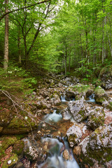 Mountain watercourse in Austria.  Salzkammergut region