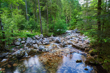 Mountain watercourse in Austria.  Salzkammergut region